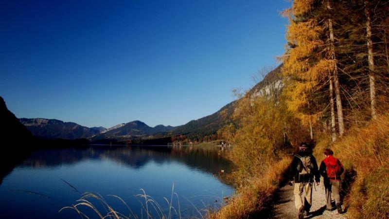 Fewo Atterseeperle - 80M2 Mit See- Und Gebirgsblick Steinbach am Attersee Eksteriør bilde