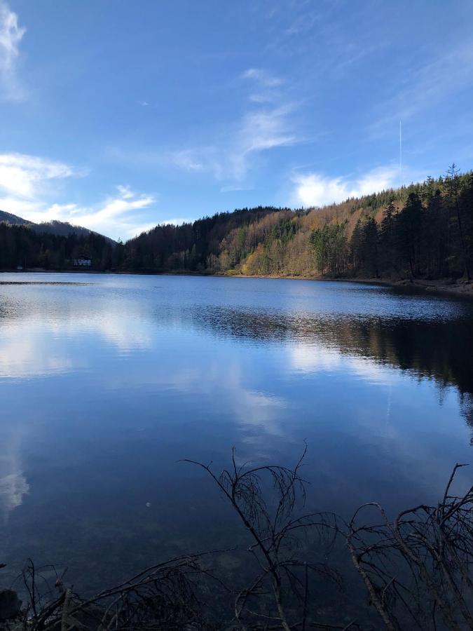 Fewo Atterseeperle - 80M2 Mit See- Und Gebirgsblick Steinbach am Attersee Eksteriør bilde