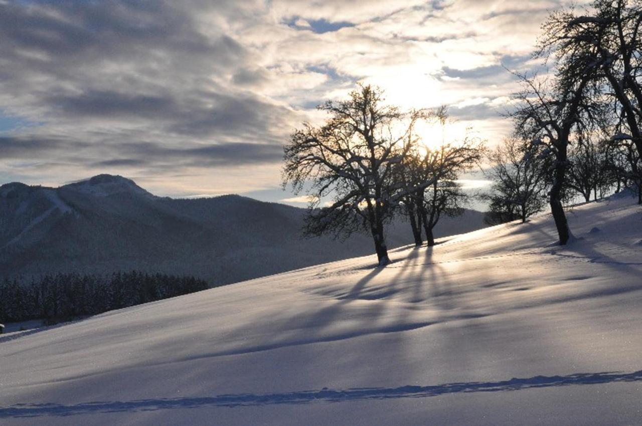 Fewo Atterseeperle - 80M2 Mit See- Und Gebirgsblick Steinbach am Attersee Eksteriør bilde