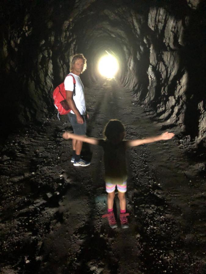 Fewo Atterseeperle - 80M2 Mit See- Und Gebirgsblick Steinbach am Attersee Eksteriør bilde
