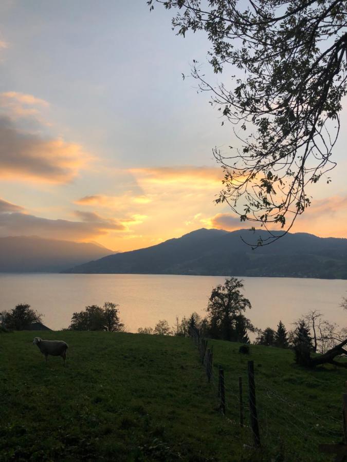 Fewo Atterseeperle - 80M2 Mit See- Und Gebirgsblick Steinbach am Attersee Eksteriør bilde