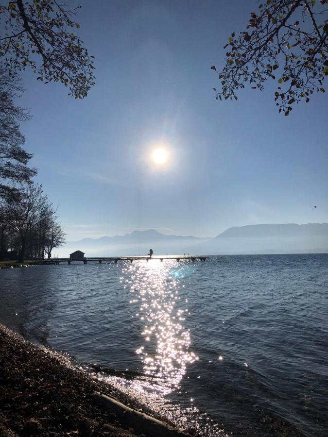 Fewo Atterseeperle - 80M2 Mit See- Und Gebirgsblick Steinbach am Attersee Eksteriør bilde